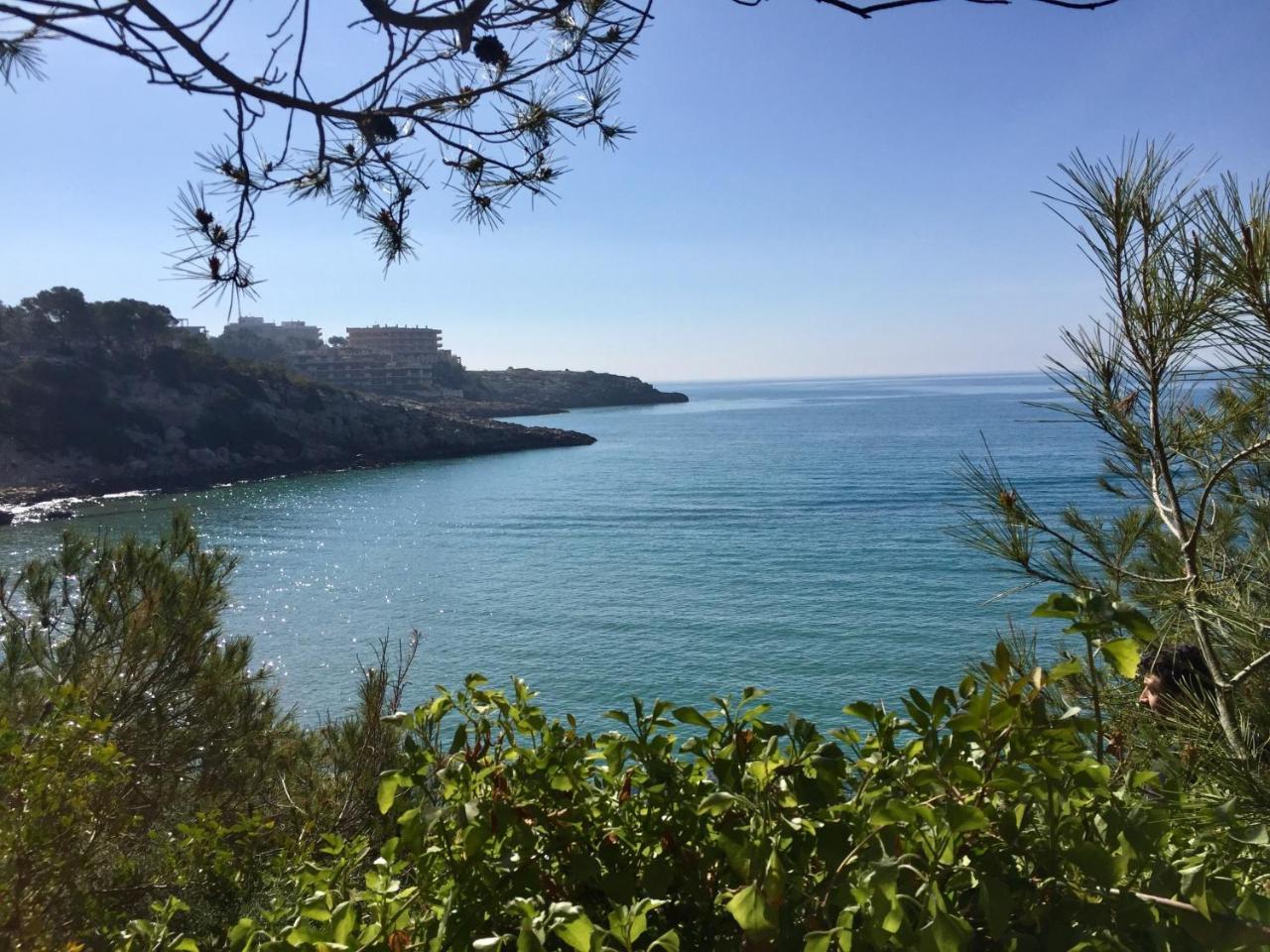Synergie Si09 - La Jota Lägenhet Salou Exteriör bild